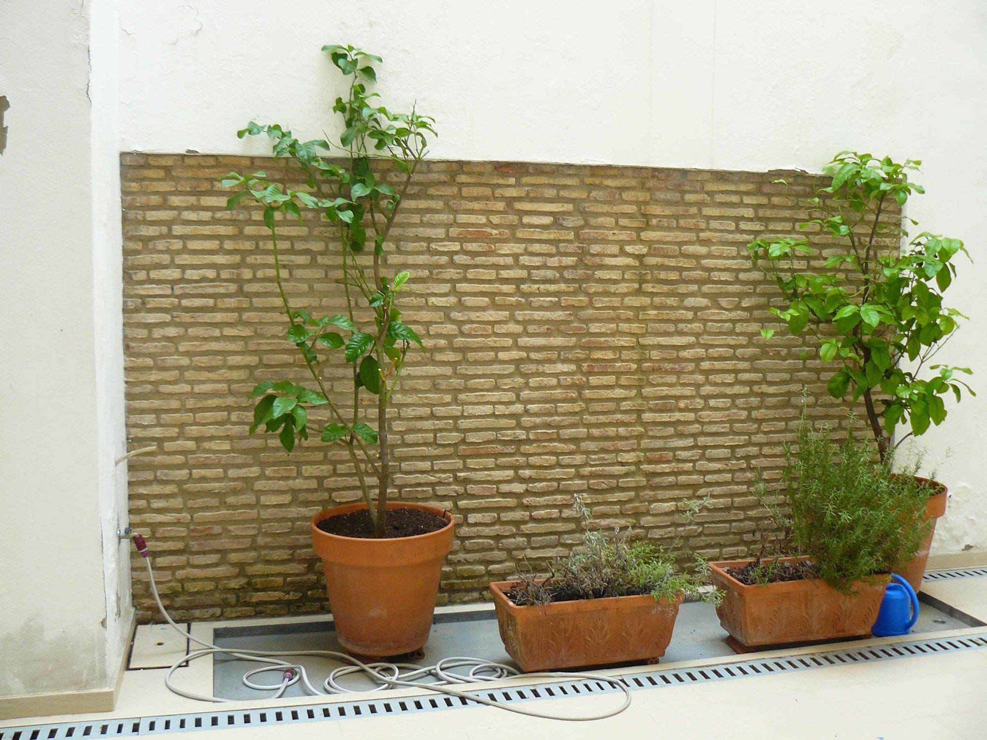 Alfaqueque Apartment Seville Exterior photo